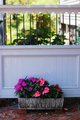 Planter