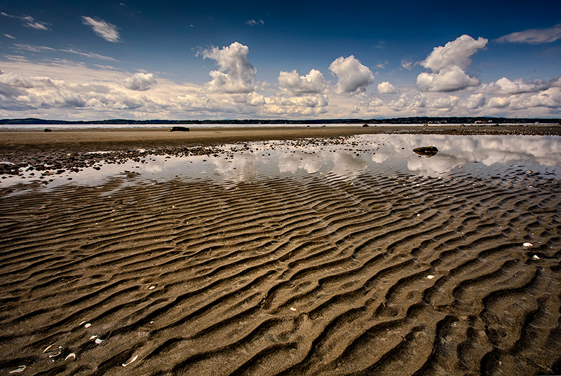 Low Tide