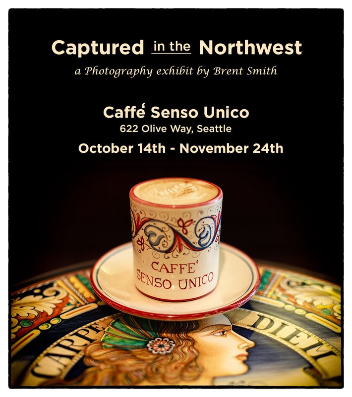 Caffe' Senso Exhibit