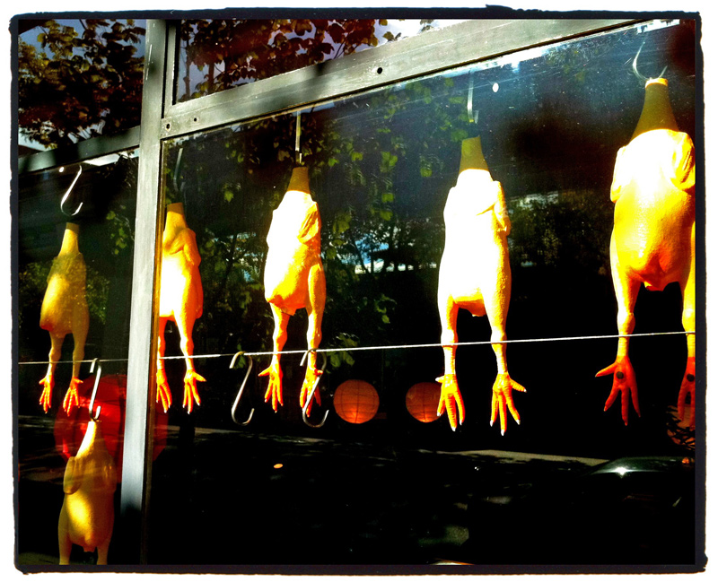 Rubber Poultry- Day 3