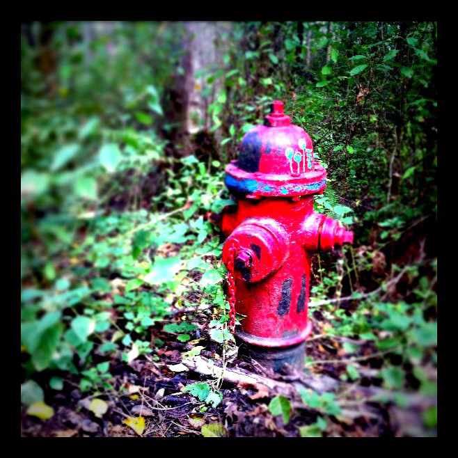 Fire Plug- Day 18