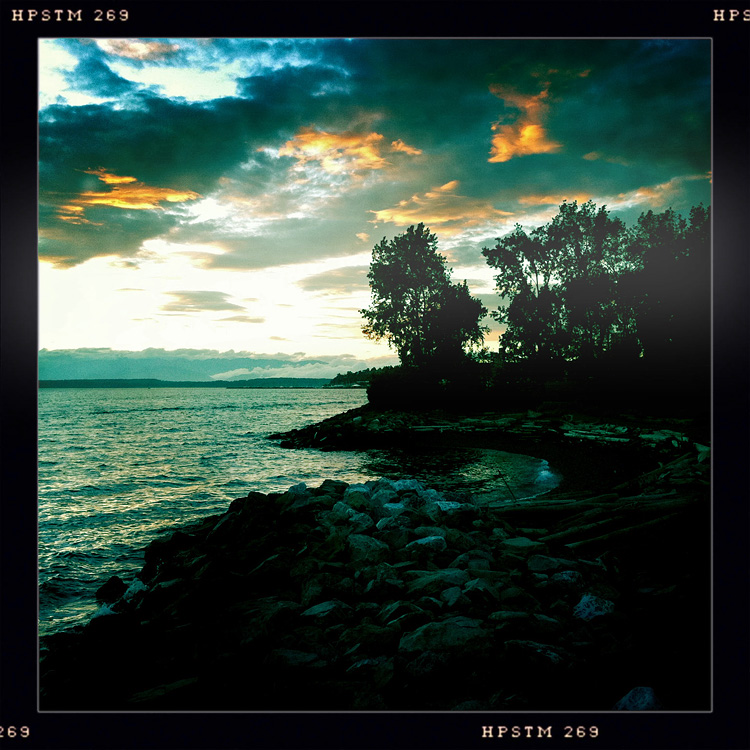 The Cove- Day 21