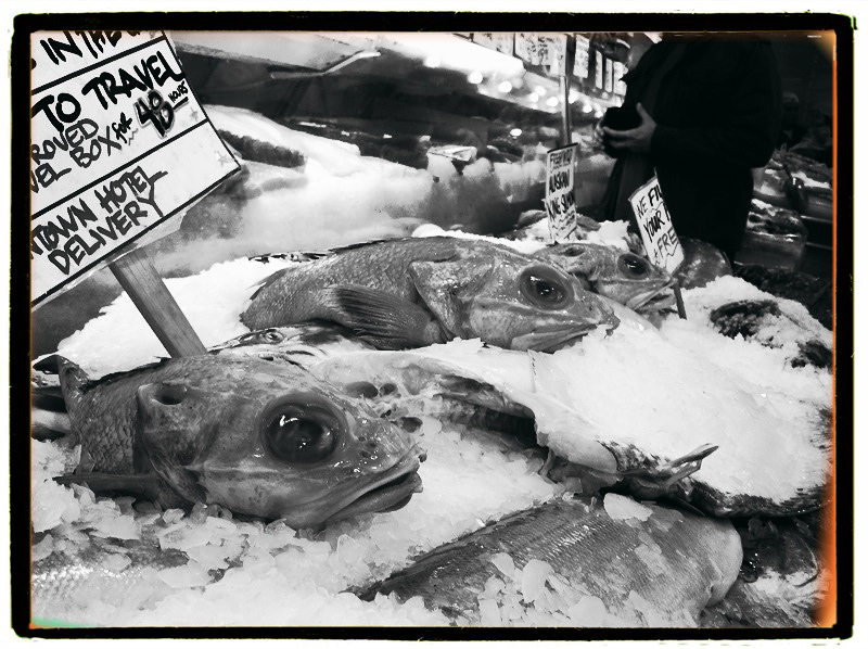 Delivered Fresh- Day 27.jpg