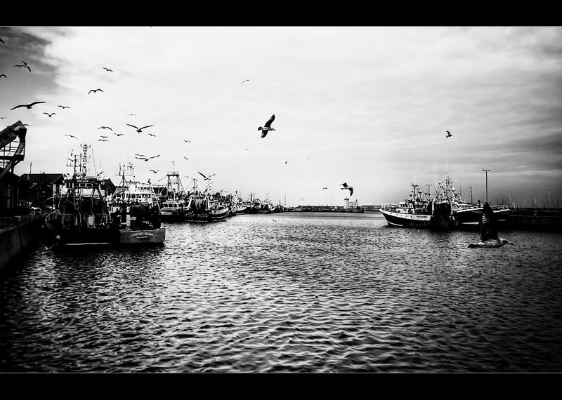 dublin52b