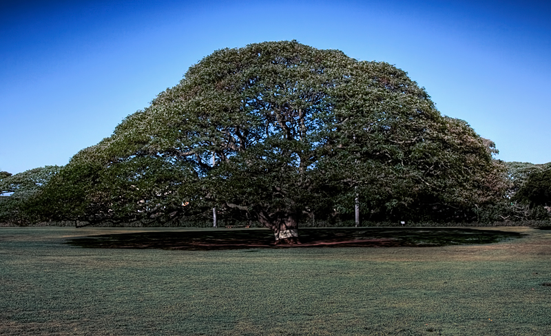 symmetry3a