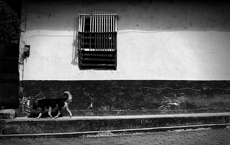 Stroll