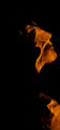 Fire Profile