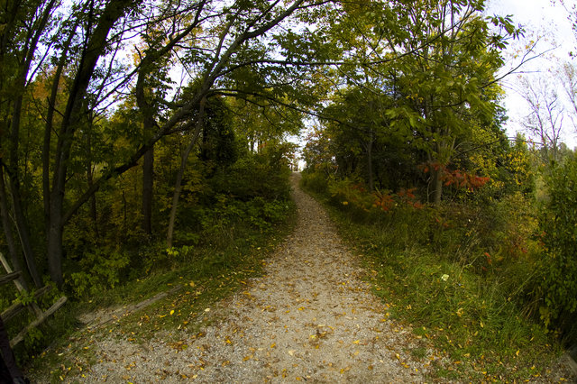 DSC_3618-edit.jpg