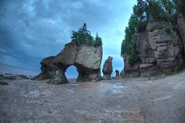 dpc-aug-4.jpg