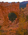 BRYCE_1154-web