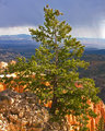 BRYCE_1169-web