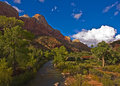 ZION_1356-web