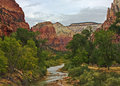 ZION_1188-web