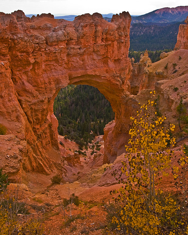 BRYCE_1154-web
