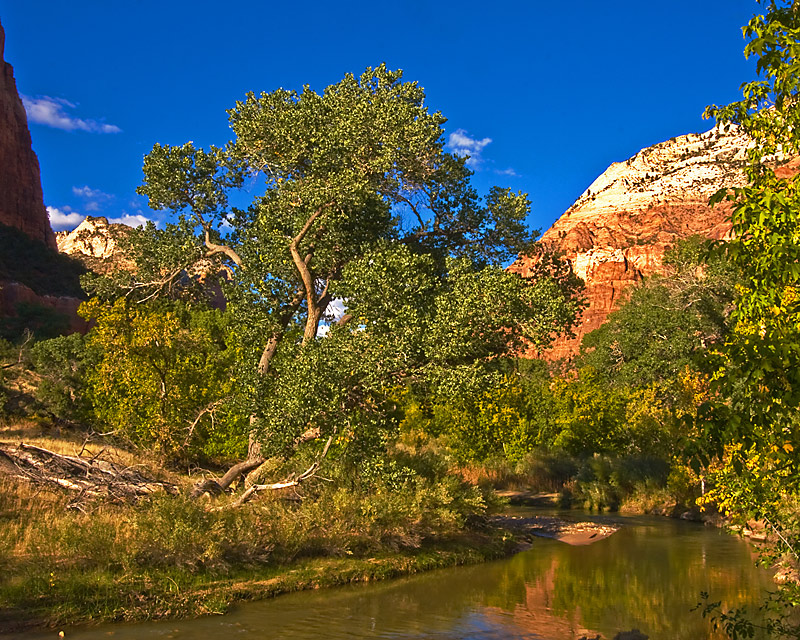 ZION-RIVER_1468-web