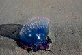 DSC_0114.jpg