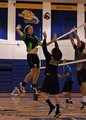 Mens Volleyball