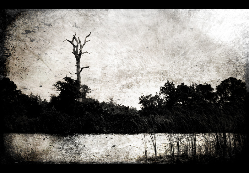 BW landscape 