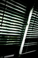 blinds contrast - FxCam_1283375188354