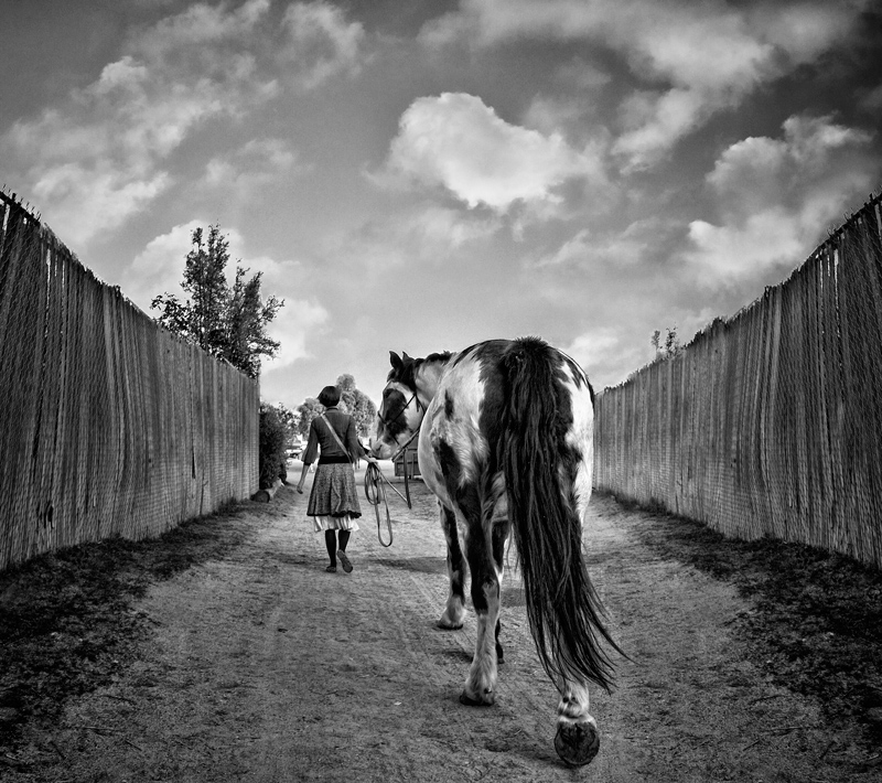 a girl and her horse