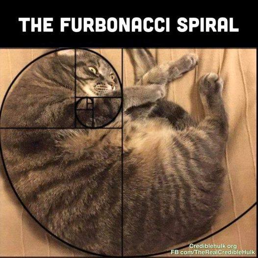 furbonaci spiral