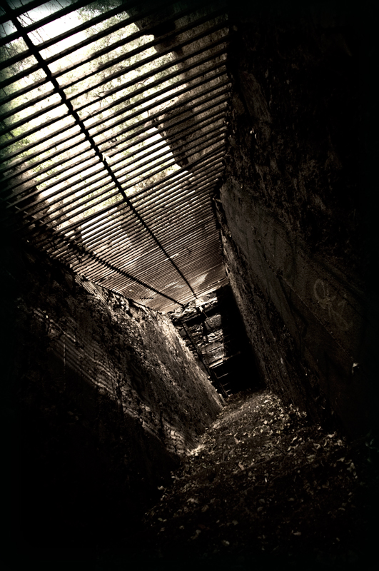 stairs-lr-DSC_0074