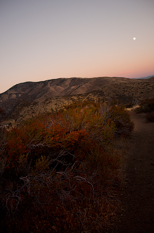 dusk-trail-lr-DSC_0110