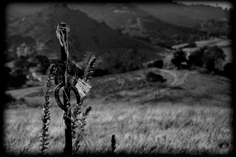 horseshoes-lr-dsc_0081