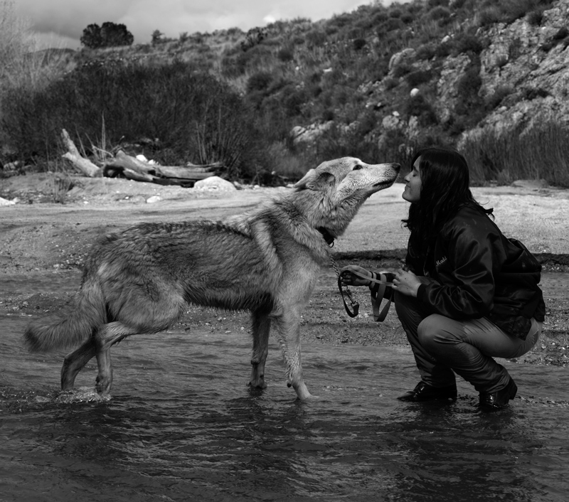 kisses