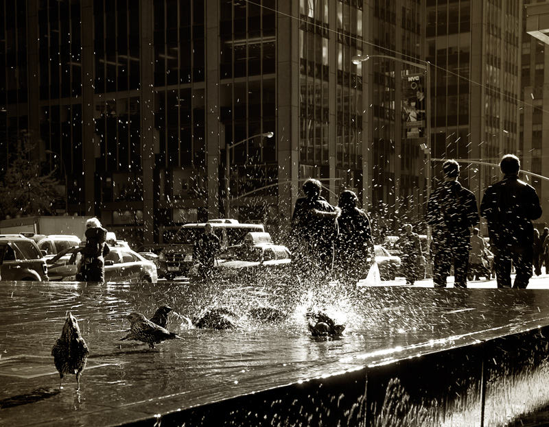 public-bathing