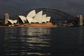 The Harbour