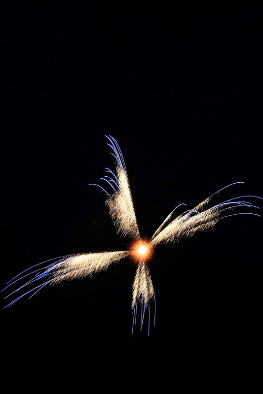 fireworks9.jpg