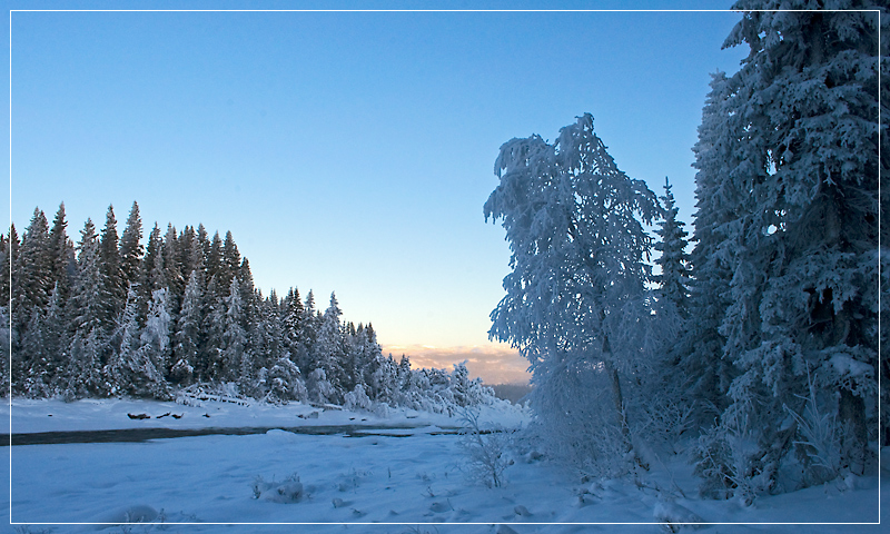 Frozen Landscape