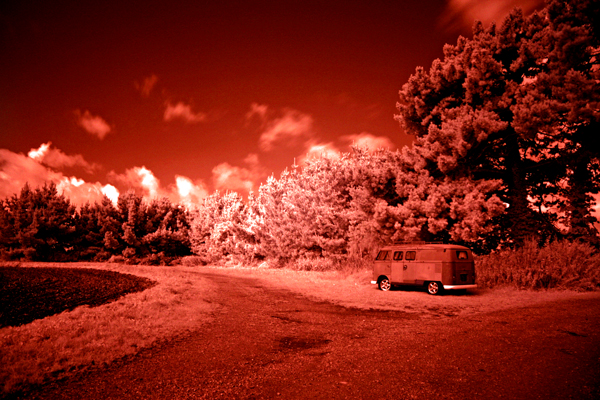 Ragged Red