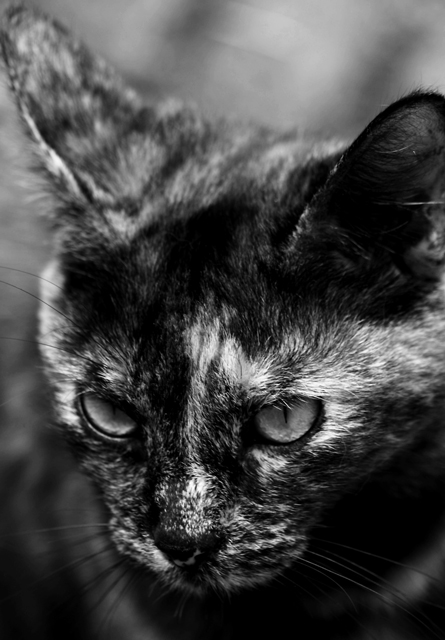 B&W7