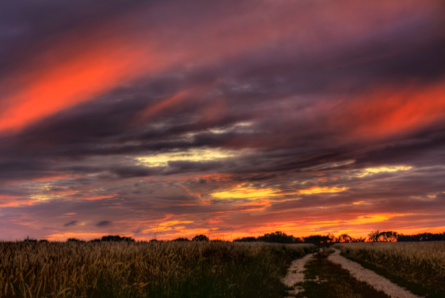 Path to Mordor