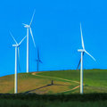 Mixed Farming - Wind and Cattle