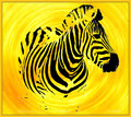 XYZ---eXtremely eXciting eXtinct-Yellow-Zebra.jpg