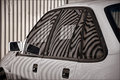 Zebra Car