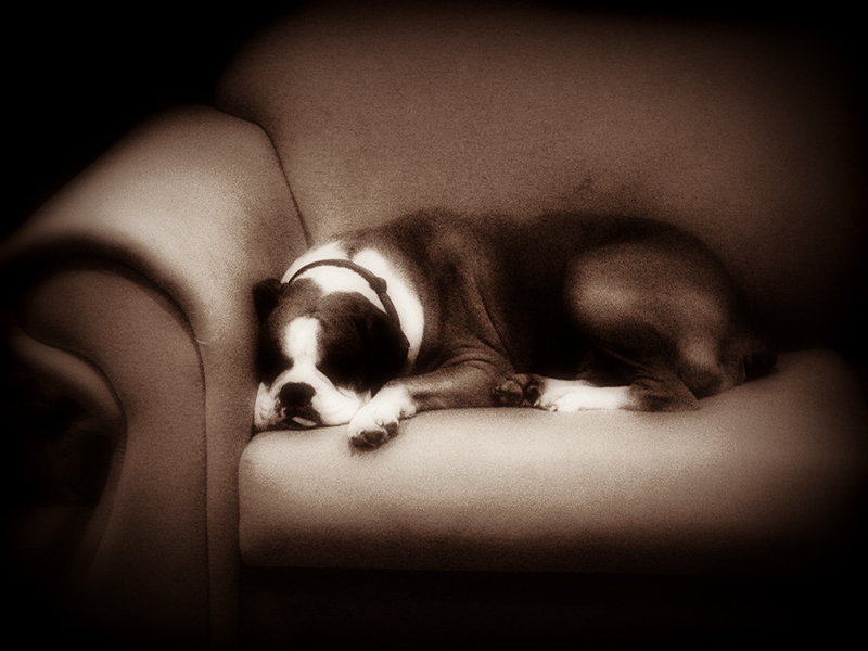 Clasdian Dreams