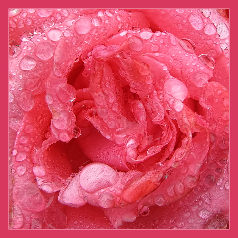 Drenched