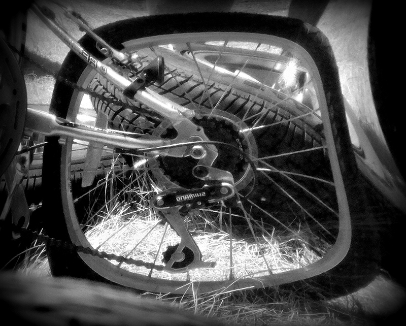  Wheel for the Road Less Travelled