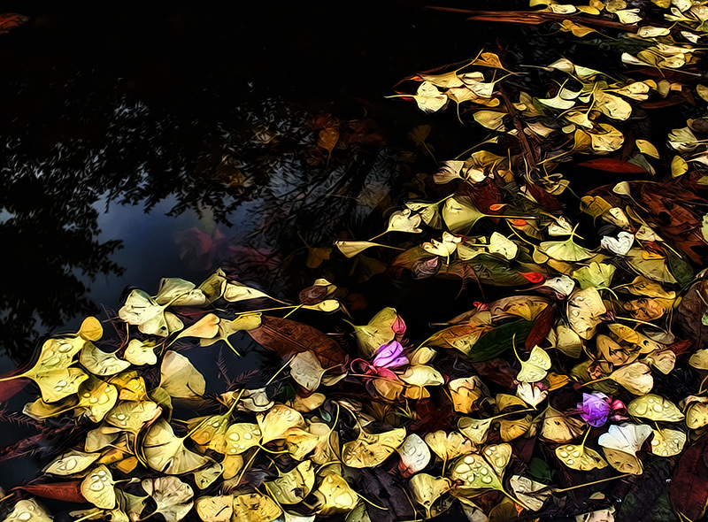 Autumn Pond