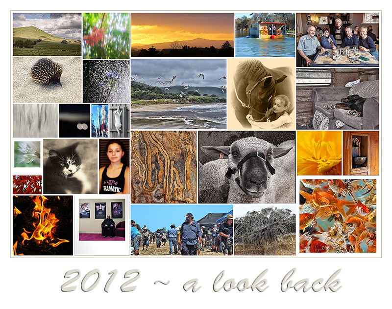 2012 - a look back