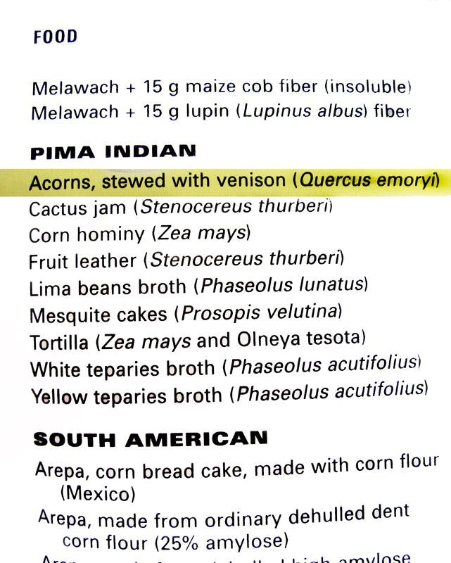 Pima-Indian-Food