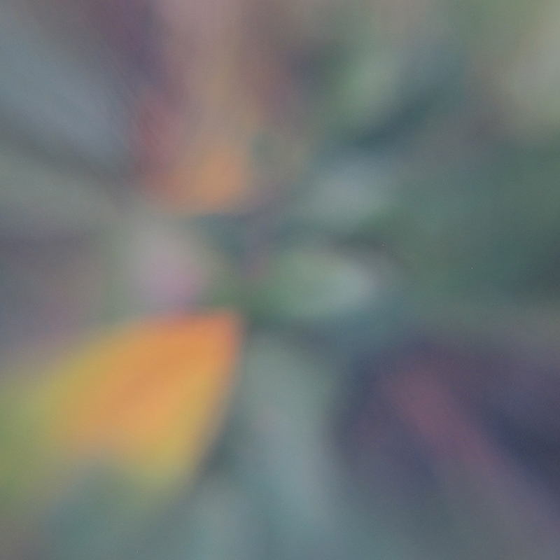 Honeysubtle