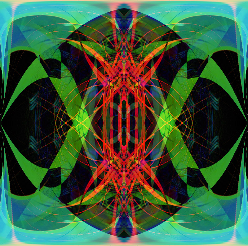 Begonia Abstract  #2