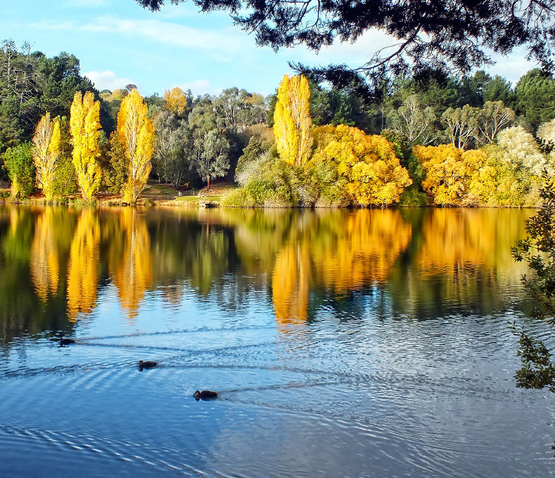 Autumn Afternoon