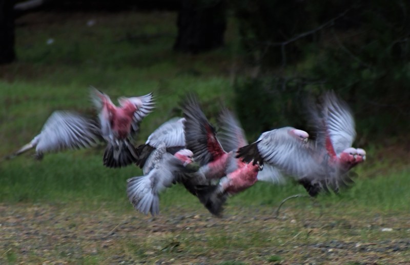 Takeoff