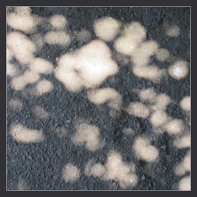 Spilled Sunlight